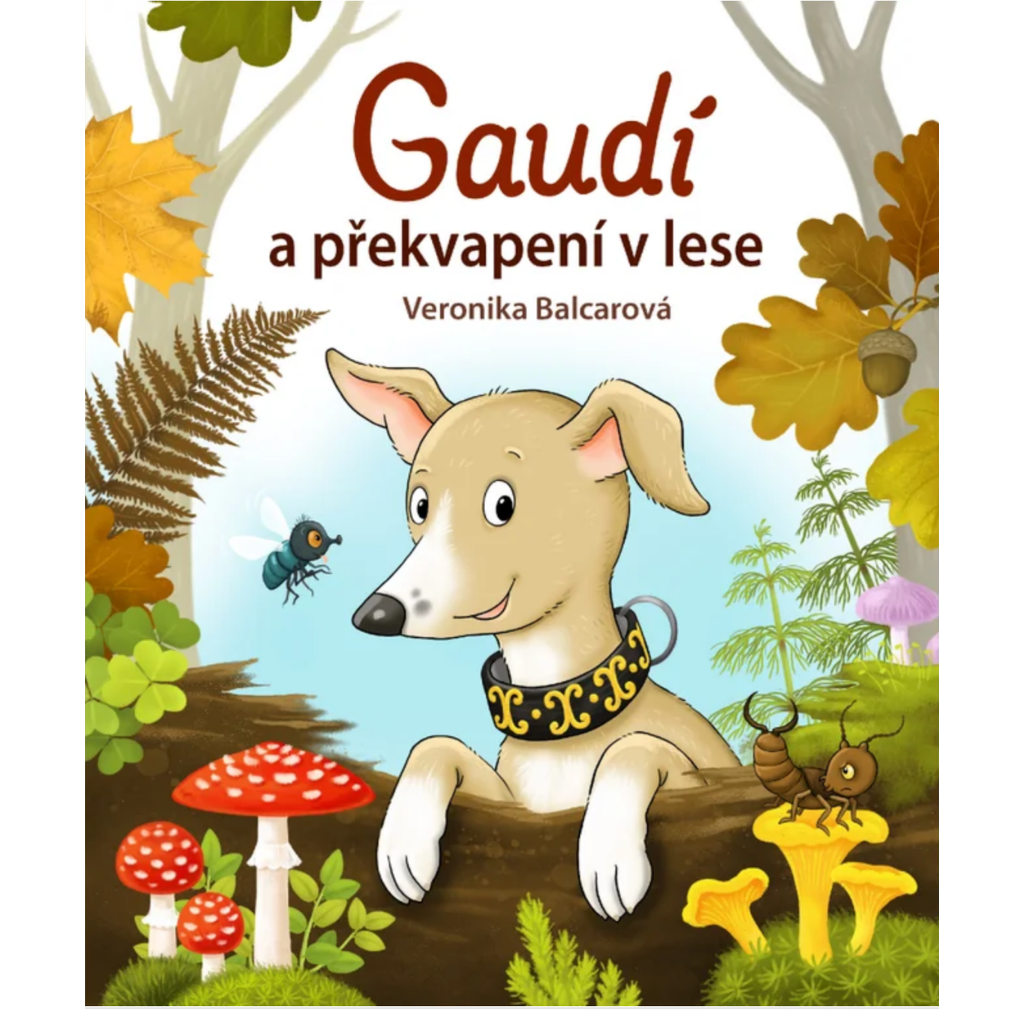 KOUZELNÉ VÁNOČNÍ ČTENÍ ✶ VÁNOČNÍ SVATOZÁŘ PRVNÍ ČTENÍ PRO DĚTI -4